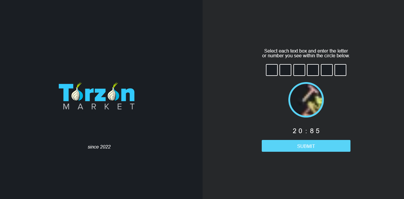 torzon-darknet-marketplace-login-flow-archive