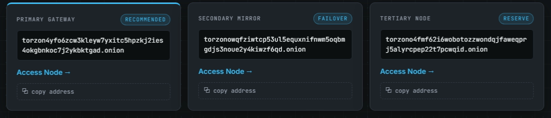 torzon-tor-network-encrypted-tunnel-diagram