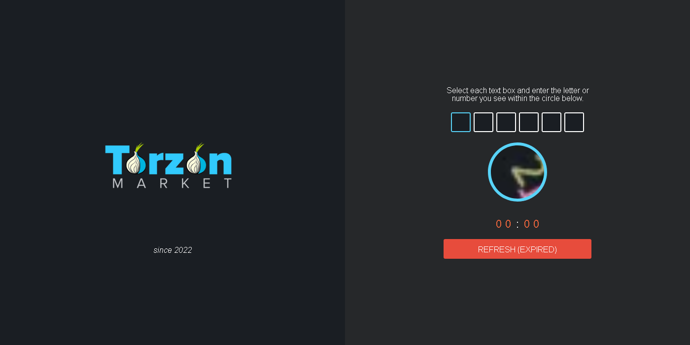 Torzon Market login interface